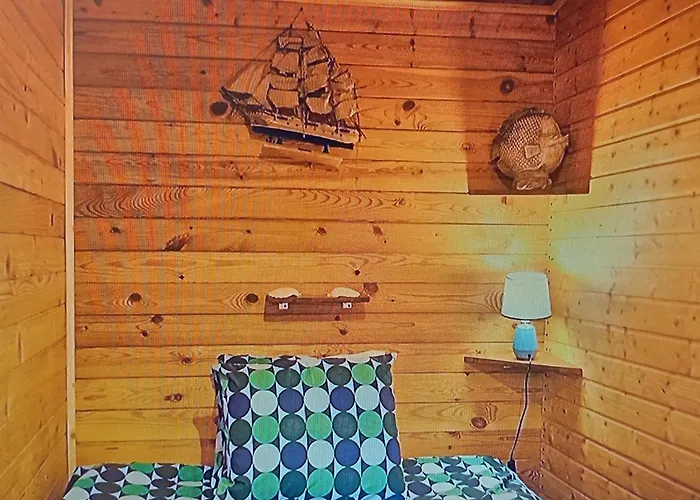 Dinocamp